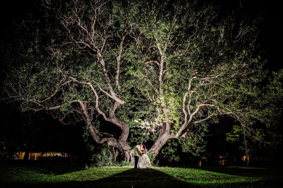 Bride and groom sharing a kiss beneath a dramatically lit ancient oak tree at night after their Filipino-Mexican wedding in Venice, Florida, photographed by Ying MultimediaBride and groom sharing a kiss beneath a dramatically lit ancient oak tree at night after their Filipino-Mexican wedding in Venice, Florida, photographed by Ying Multimedia